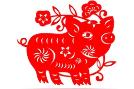 命里一尺，难求一丈：生肖猪的未来3年，一切都是天意！天机图片
