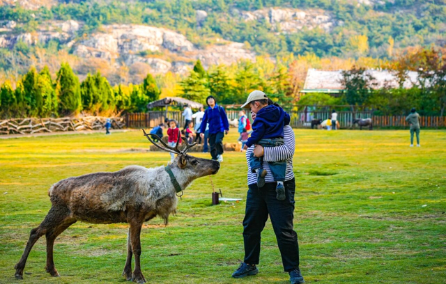 山景正宜人！青岛这里的山，已美到Next level