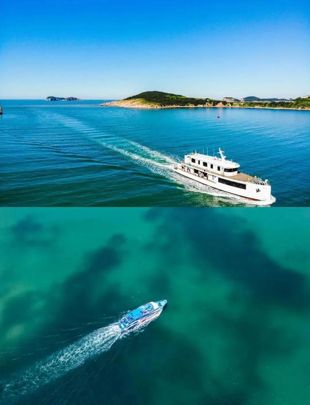 山东荣成：天鹅与海鸥齐飞，这座低调滨海城，藏着北纬37°的浪漫