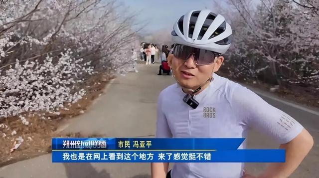 朔州：这片桃林，人真多
