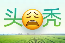 头秃，一页PPT塞了17项内容，改完竟简洁又高级？图片