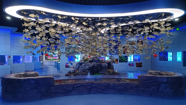 @全体跑友+随行人员：这份荣成“旅游专属福利”请收好！