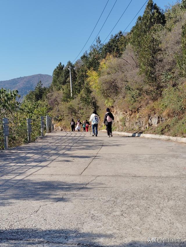 以我4次经历，带你打卡北京香山，北京的朋友请补充