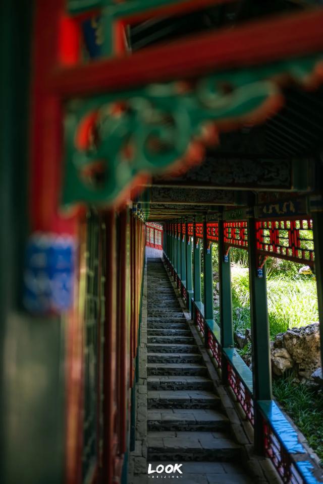 北海公园最美园中园,藏在这里