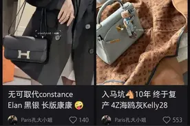 顶级白富美千万爱马仕随便炫耀，不法收入竟然杀人越货所得图片