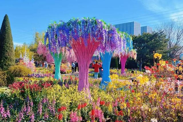 半日休闲游玩 | 牡丹+流苏+多巴胺花海，好拍到停不下来