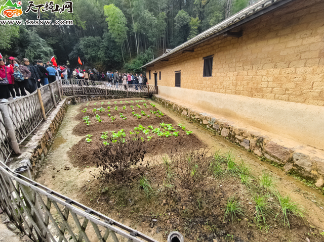 毛泽东同志故居菜园换季种新苗
