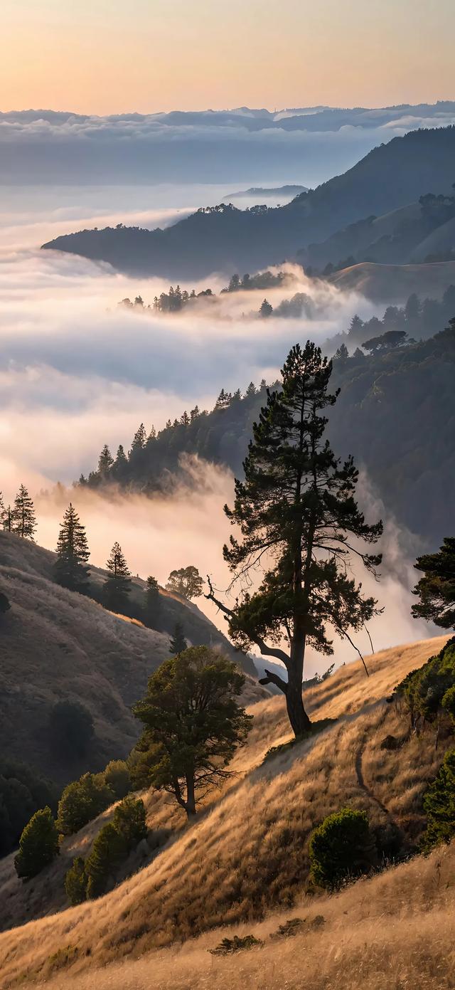 手机壁纸|简约的自然风光美景
