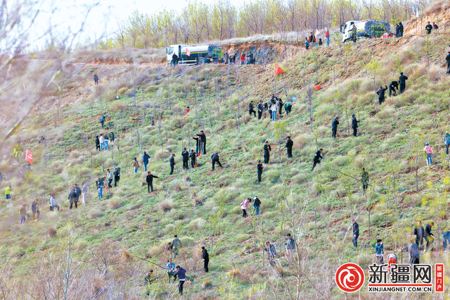 有一种奉献叫“雅山接力”:这里每一片叶子都写满绿色奇迹