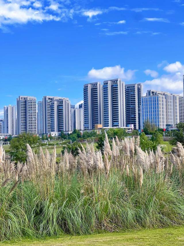 首个秋假怎么耍？这份眉山天府新区遛娃指南请收好~