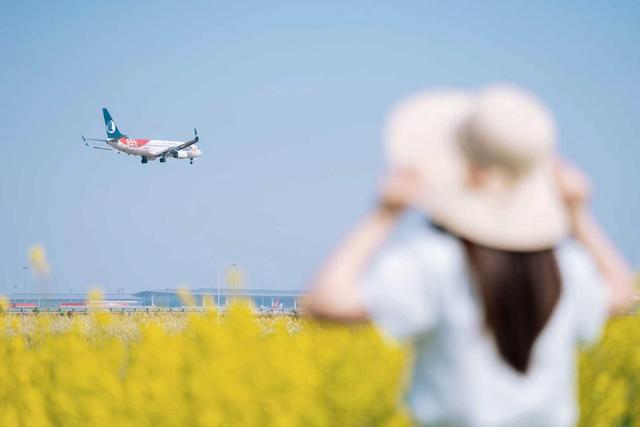 春游胶州，共赴花海里！青岛胶州市发布春季出行指南