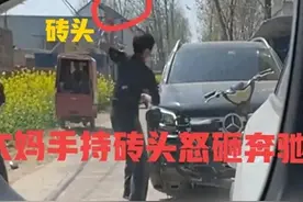 奔驰车压坏蒜苗被大妈怒砸后续，不能只听一面之词，车主也有责任图片