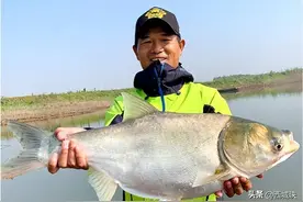 天元鱼竿双吊牌造假？邓刚半夜放出大招，把同行都给耍了一通图片