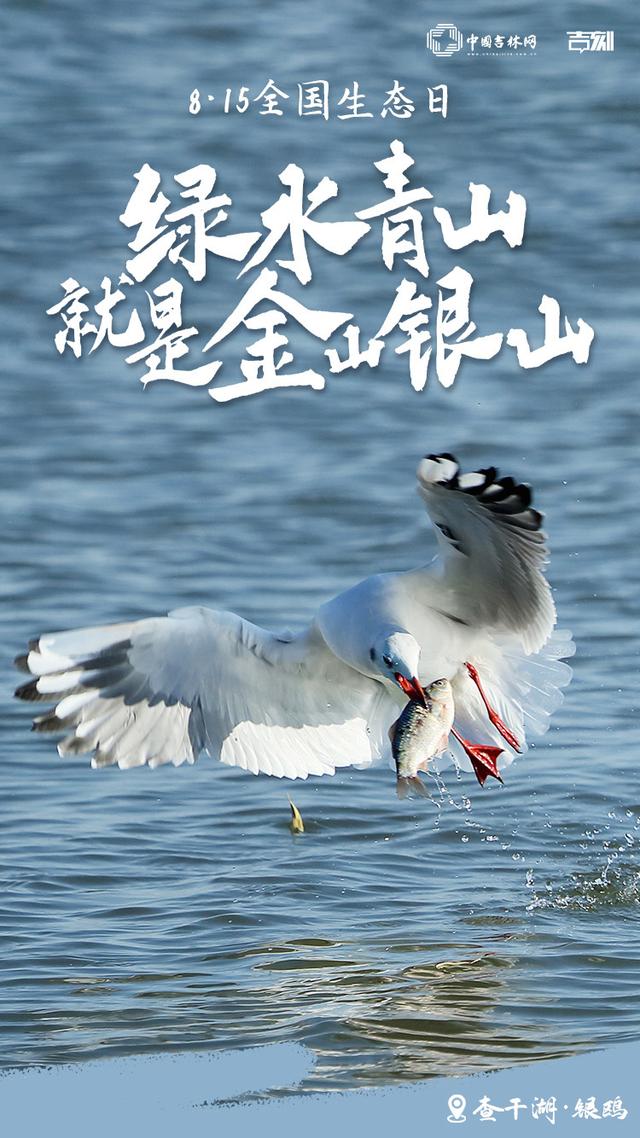 8·15全国生态日特别海报｜解锁吉林大地的生态密码