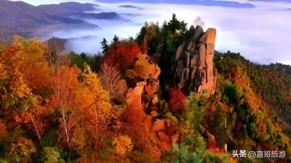探秘同江街津山国家森林公园：自然与人文交织的北疆瑰宝