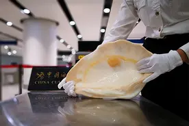 小心牢底坐穿贝！南京海关拦下三名游客，说他们带了违法的贝壳？图片