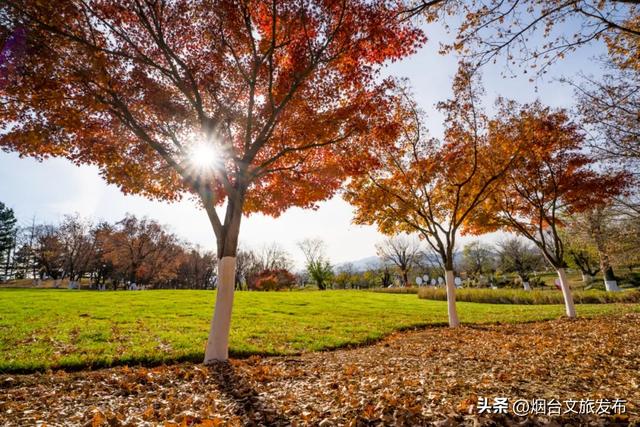 【乐游烟台】美到封神!烟台家门口的赏秋神仙地+1