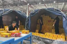 航空物流公司多措并举做好樱桃成熟季“空中快递”保障图片