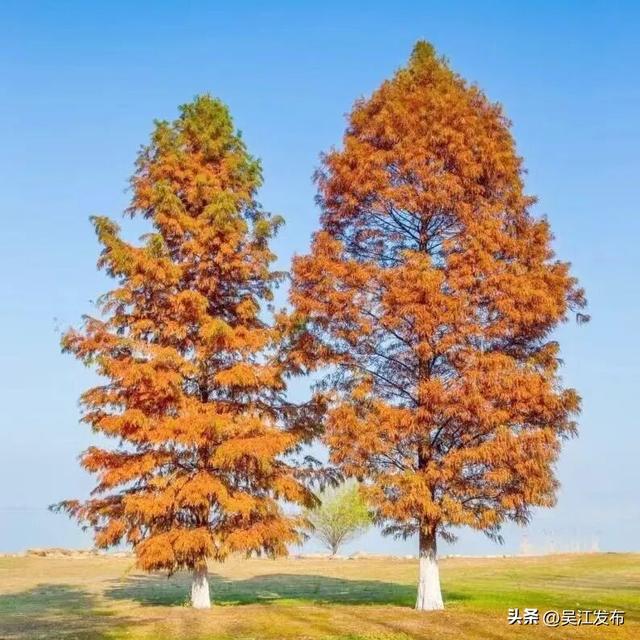 周末去打卡丨太好拍~东太湖绝美机位，“框框”出大片！