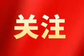 2025年艺术类、体育类综合分一分一段表公布！图片