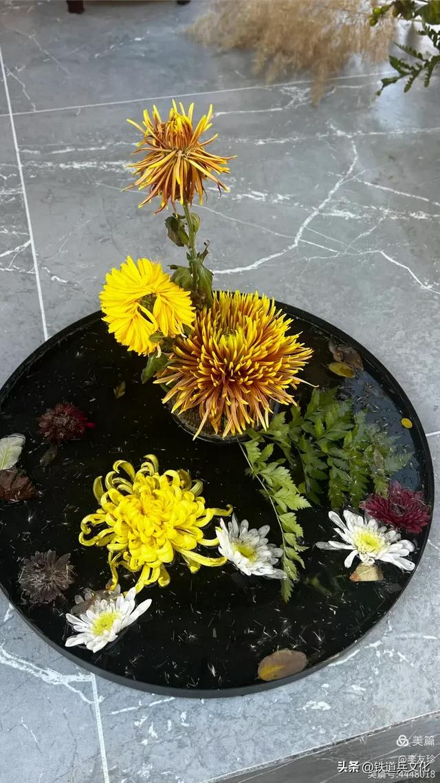 李友珍||岁月倏然·菊韵飘香——紫竹院公园的菊展