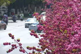 “两小时高铁圈”！短途游火爆，昆明站售票情况→图片