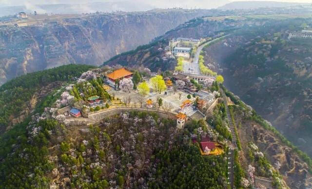 庆阳这5个地方，藏着黄土塬整个春天的密码！