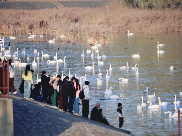 冬日周六晴好，邂逅热闹苍龙湖