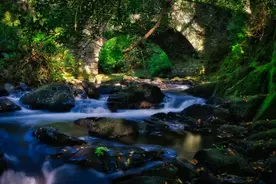 为什么最好不要送东西给别人？看完文章你就明白了图片