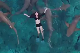 视频曝光！女歌手遭鲨鱼咬伤血流不止，并非第一次！这里是热门旅游地图片