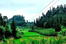 存20万定期还是买理财？银行柜台那半小时让我明白的事图片