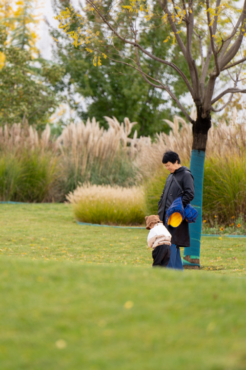 春日顶流！万亩花海秘境进入盛花期
