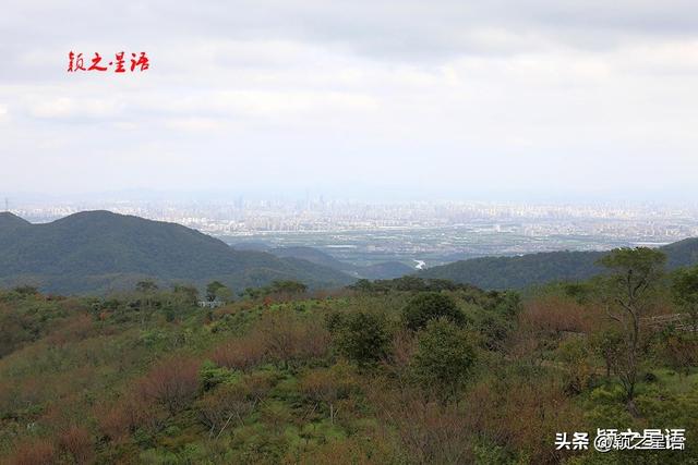 大岗山变迁，红土梯田变身为休闲旅游目的地