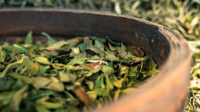 我装了摄像头，想看看老公每晚在干嘛，结果拍到的画面，让我崩溃