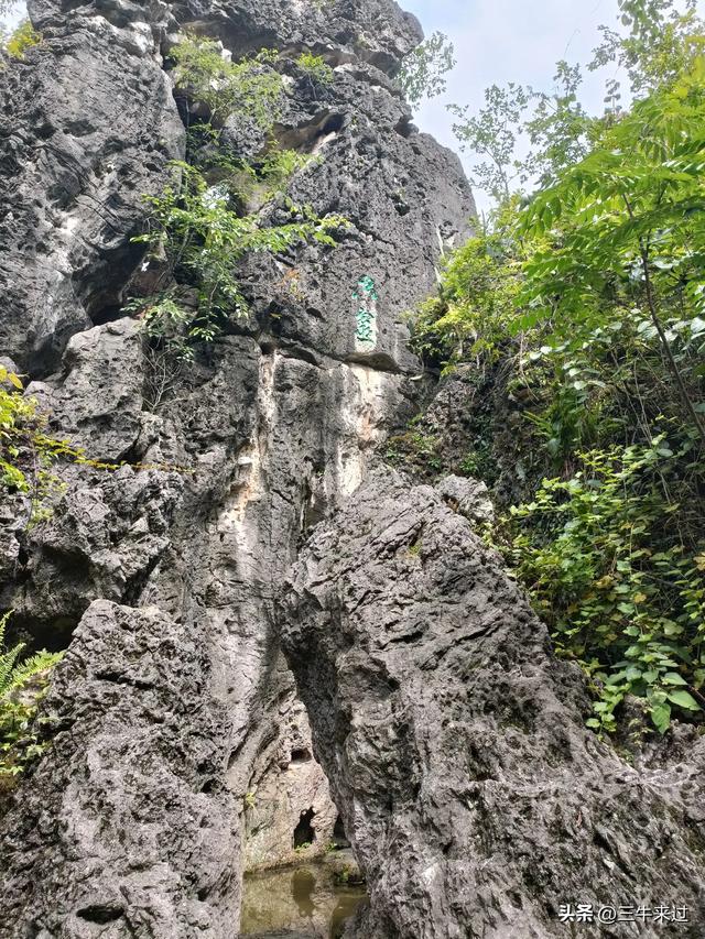 无为在歧路，贵州六日行（8）～黄果树