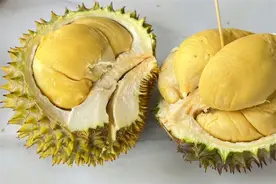 榴莲最值得吃的7个品种，内行人挑选榴莲有啥诀窍？一文说清楚图片