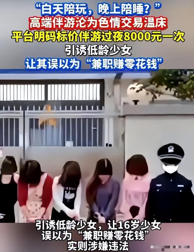 白天陪玩、晚上陪睡！明码标价8000元一次，未成年人成重点目标