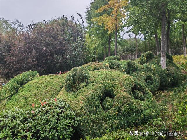泰安：它是市颜值最高公园之一，紧邻“岱下桃源”，一个创意绝了