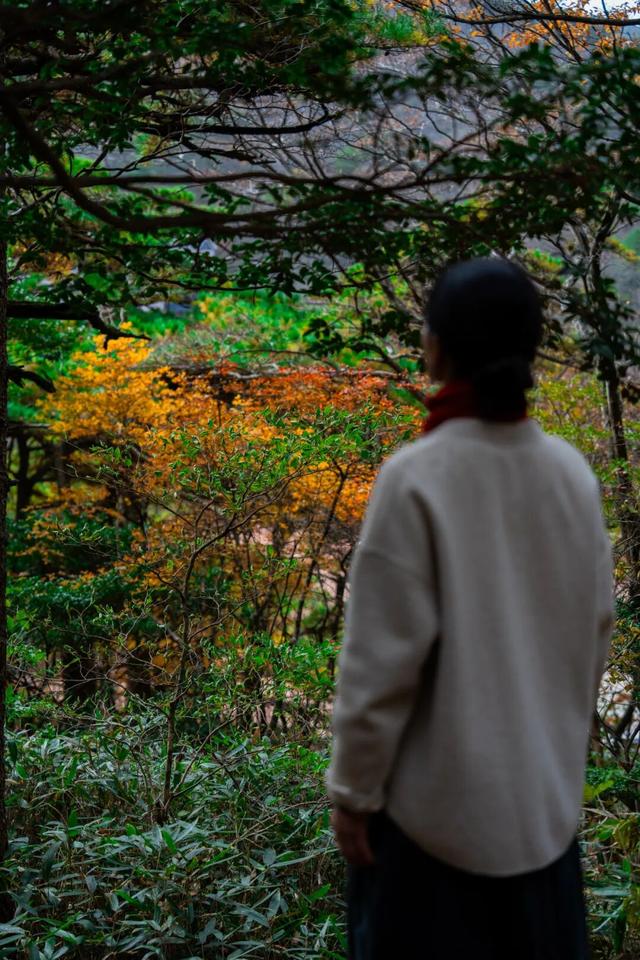 黄山秋景现场播报：云海“开挂”，秋色“沸腾”，抓紧冲