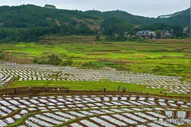 妙趣横生的贵池方言俚语拾趣八则图片