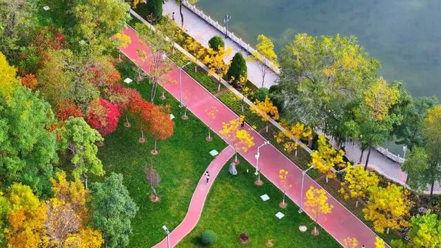 【白银文旅】漫步铜城秋：每一眼都撞进美景中​