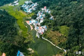 历代皇室贡茶大盘点，你喝过几款？图片