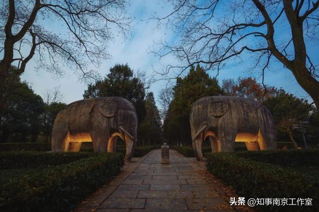 51张照片告诉你，南京的秋天有多美！