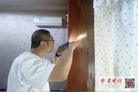 白蚁分飞季来临防治正当时 十堰市白蚁防治所：居民发现白蚁不可擅自处置图片