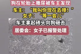 闹大了！上海女子纵狗尿轮胎后续：女子言行惹众怒，被骂后删视频图片