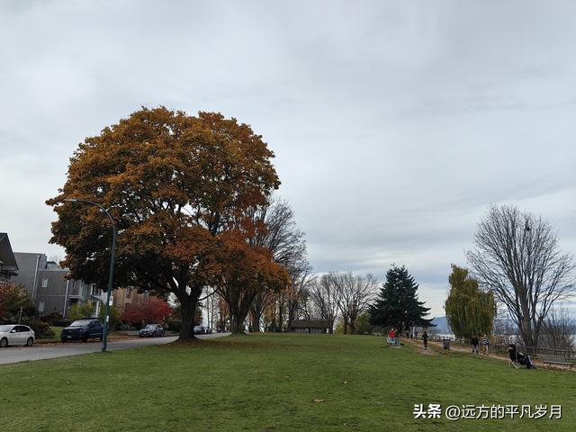 温哥华游记（五）