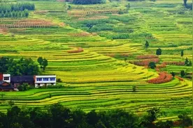 自驾游重庆四面山1314爱情环线！七站！站站有惊喜！图片