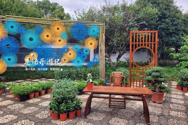 宁波这个网红菊花展已经上线，花还没开但景色很美，快来先睹为快