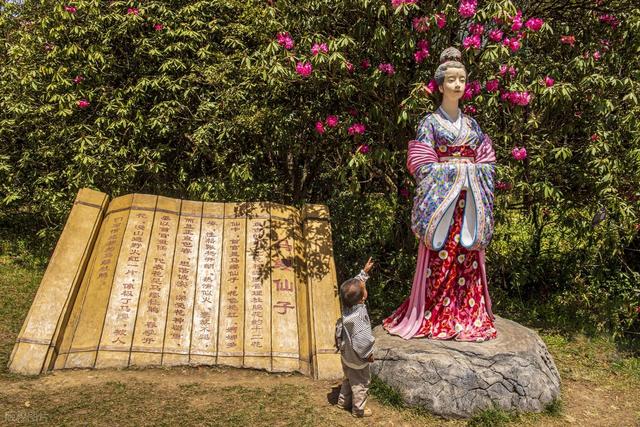 被严重低估的贵州毕节：这100多平方公里的杜鹃，不看真的会后悔