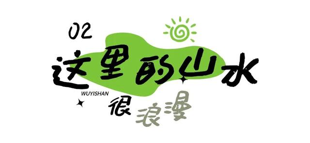 快来抱抱~ | Welcome to 疯狂·武夷山·动物城